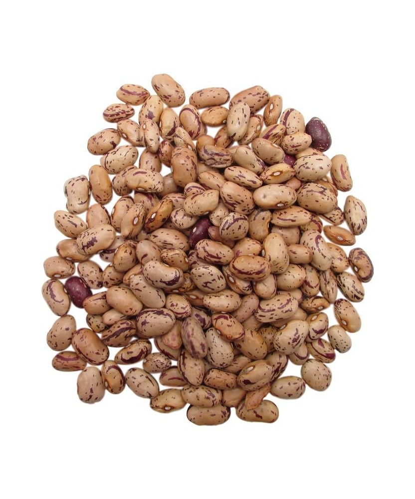 FAGIOLI BORLOTTI