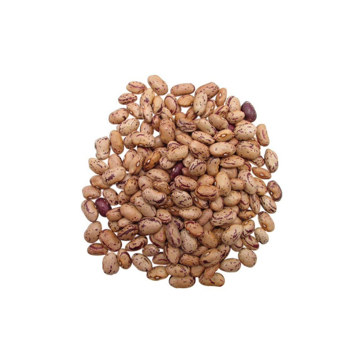 FAGIOLI BORLOTTI