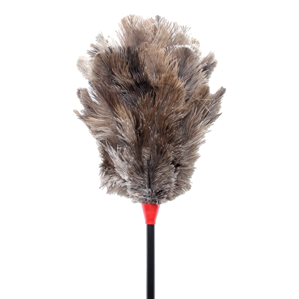 Piumino Di Struzzo Naturale Modello 1 1 Pz