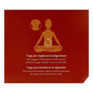 Yogi Tea Curcuma Chai 17 Bustine