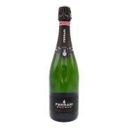 FERRARI MAXIMUM BLANC DE BLANCS METODO CLASSICO TRENTO DOC 750 ML