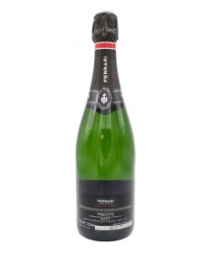 FERRARI MAXIMUM BLANC DE BLANCS METODO CLASSICO TRENTO DOC 750 ML