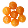 AMBROSIO CLEMENTINE INTERE CANDITE