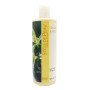 JEAN LUC DE SYRAC LATTE CORPO FRIZZANTE ZENZERO & MIELE 500 ML