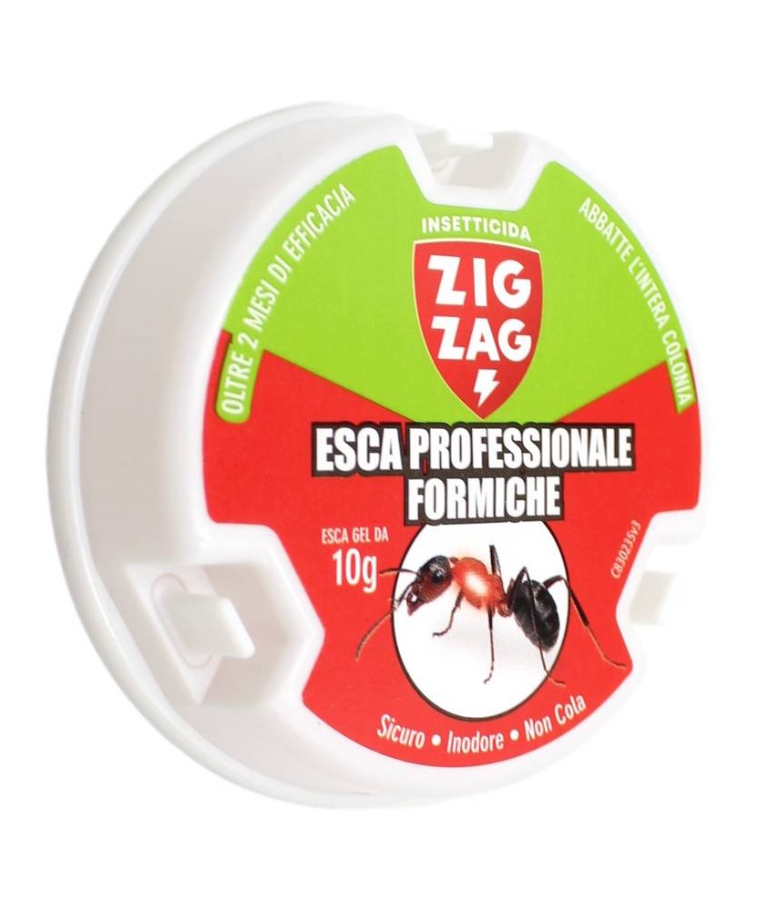 ZIG ZAG ESCA PROFESSIONALE FORMICHE 10 GR