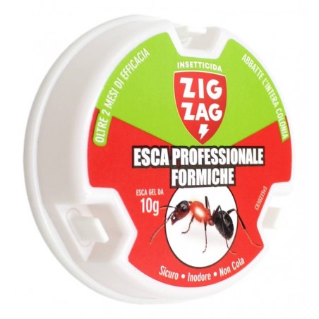 ZIG ZAG ESCA PROFESSIONALE FORMICHE 10 GR