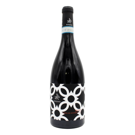 BONZANO GAJARD BARBERA DEL MONFERRATO DOC 750 ML