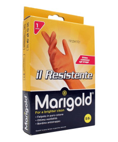 MARIGOLD IL RESISTENTE SMALL 1 PAIO