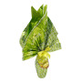 LINDT UOVO LINDOR PISTACCHIO 360 GR