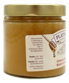 PLATTNER MIELE DI TARASSACO