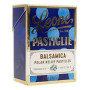 LEONE PASTIGLIE BALSAMICA 27 GR