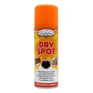 HYGIEN FRESH DRY SPOT SMACCHIATORE A SECCO 200 ML