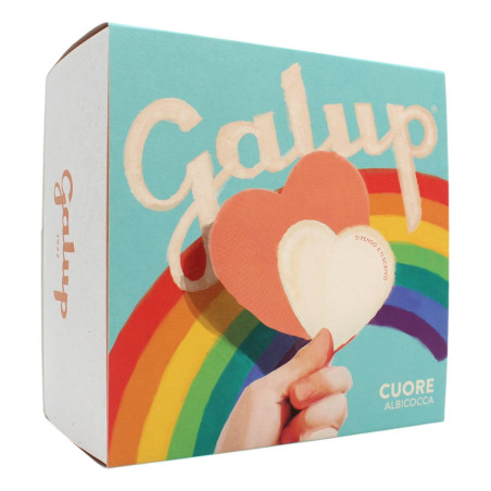 GALUP CUORE DI COLOMBA ALL'ALBICOCCA 500 GR
