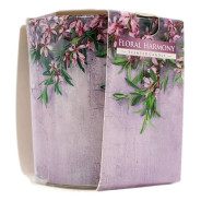 AURA CANDLES CANDELA PROFUMATA FLORAL HARMONY 22 ORE 100 GR