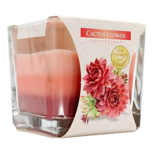 AURA CANDLES CANDELA PROFUMATA FIORE DI CACTUS 32 ORE 170 GR