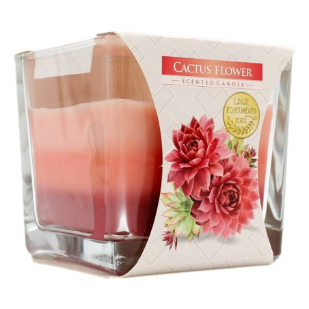 AURA CANDLES CANDELA PROFUMATA FIORE DI CACTUS 32 ORE 170 GR