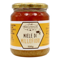 DALLE TERRE DI FIUMALBO MIELE DI MILLEFIORI 500 GR