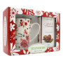 REGINA DI FIORI TAZZA IN PORCELLANA CON INFUSO DI FRUTTA "BACIO DI BIANCANEVE" 15 FILTRI 45 GR