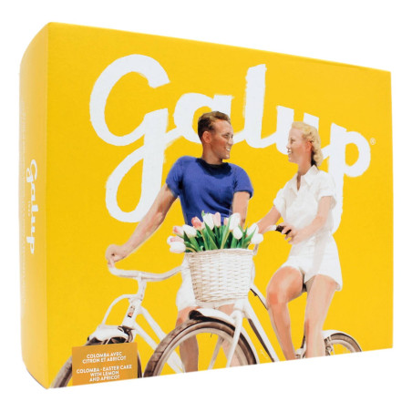 GALUP COLOMBA LIMONE E ALBICOCCA 750 GR