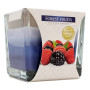 AURA CANDLES CANDELA PROFUMATA FRUTTI DI BOSCO 32 ORE 170 GR