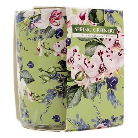 AURA CANDLES CANDELA PROFUMATA SPRING GREENERY 22 ORE 100 GR