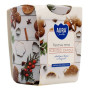 AURA CANDLES CANDELA PROFUMATA FESTIVE TIME 22 ORE 100 GR