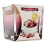 AURA CANDLES CANDELA PROFUMATA BACCHE CONGELATE 32 ORE 170 GR