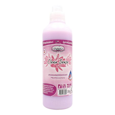 HYGIEN FRESH DEOAMMORBIDENTE PROFESSIONAL CLEAN SENSE 1 LT