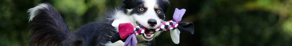 Prodotti per l’igiene degli animali - Drogheria Olimpia Shop Online