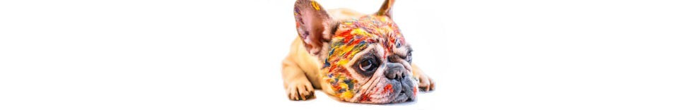 Detergenti e Disabituanti per animali - Drogheria Olimpia Shop Online